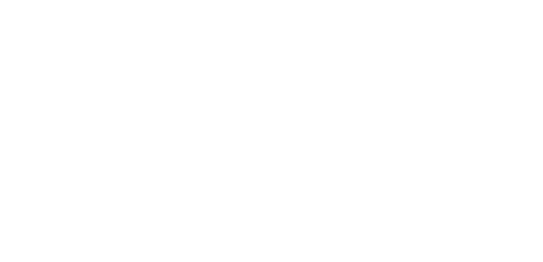 Schilf
